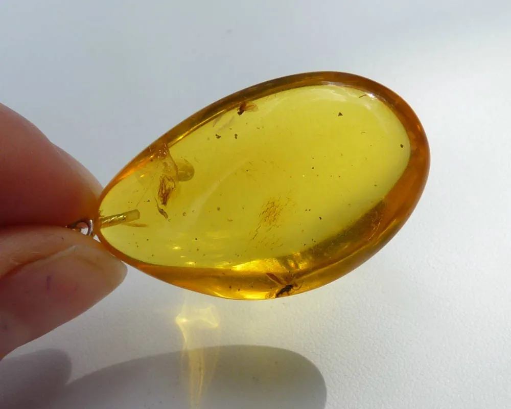 Baltic Amber Pendant with Fossil Insects Bug Honey Jewelry 1.14" 7.3 gram 925 Silver