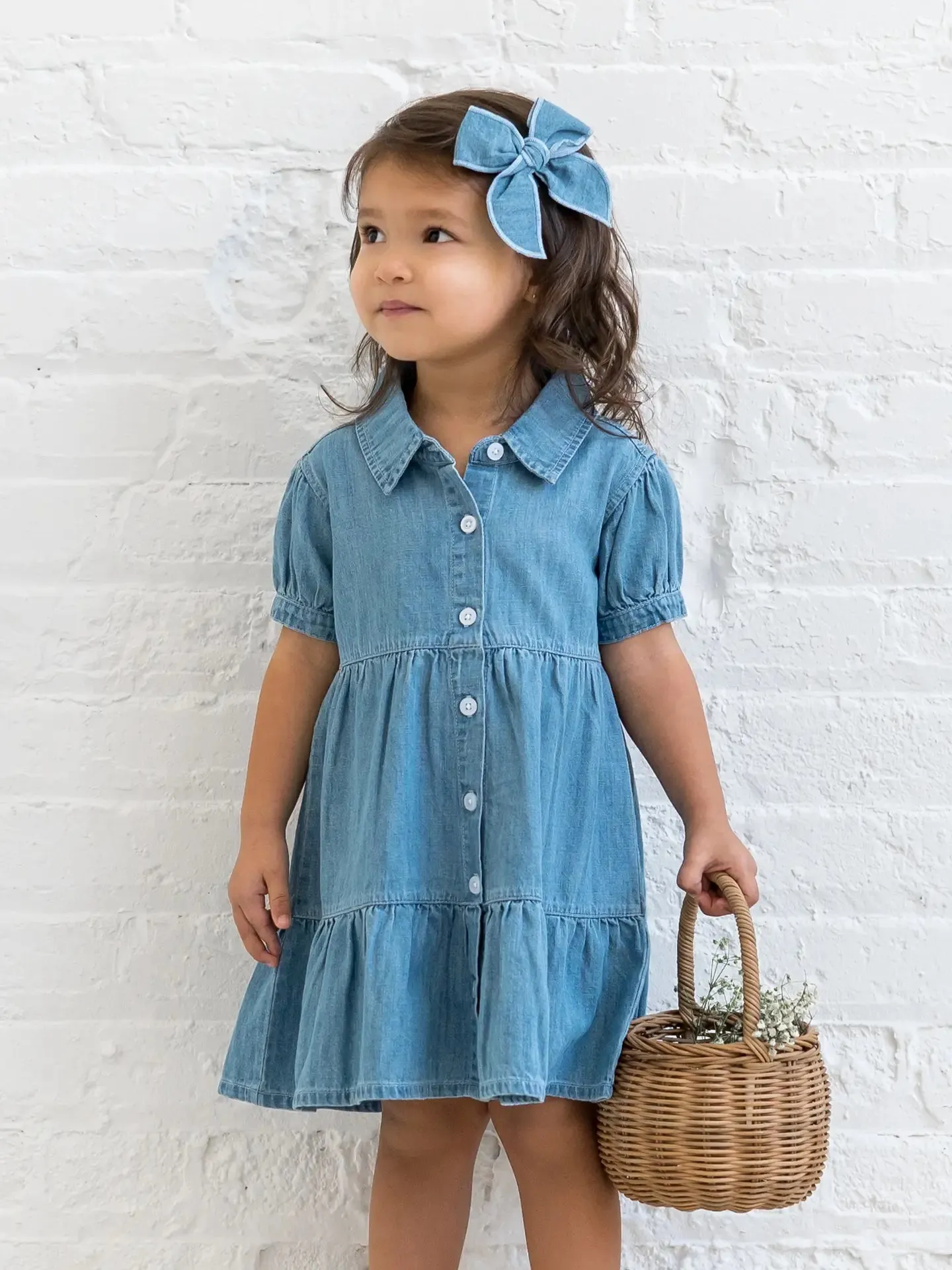 Organic Pippa Chambray Short Sleeve Shirt Dress